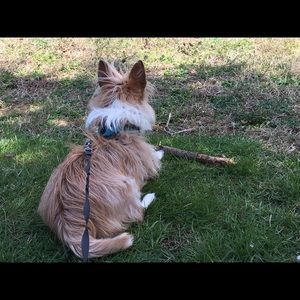 Meet your Posher, Rachel